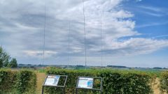 20230720_1713551-scaled